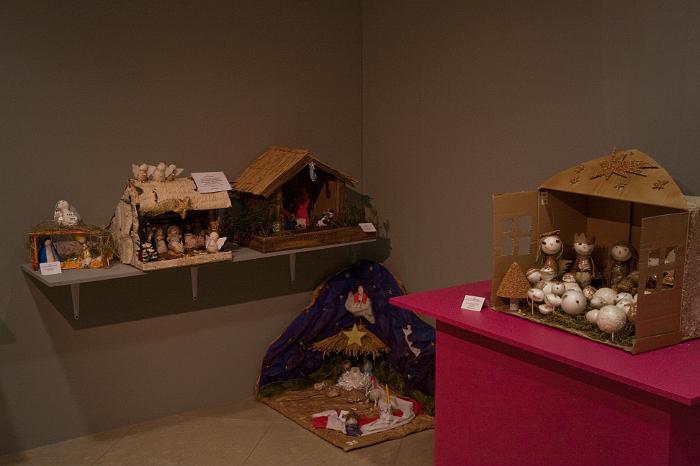 ZW2011 (58)